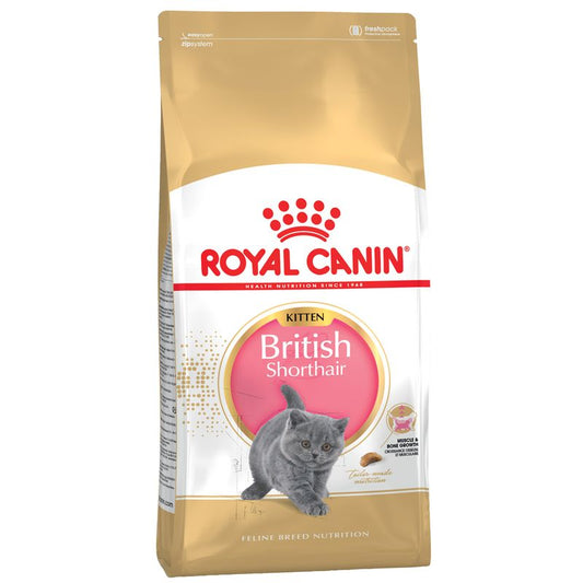 Royal Canin British Shorthair Kitten Dry Cat Food – 2kg