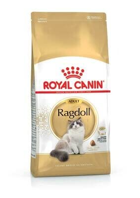 Royal Canin Ragdoll Adult Dry Cat Food 2kg (Pack of 2)
