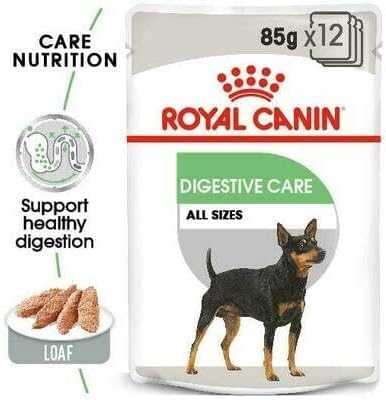 Royal Canin Digestive Care Adult Wet Dog Food 85g (Pack of 24)