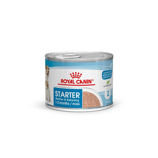 Royal Canin Dog Food Starter Mousse 12 x 195 g