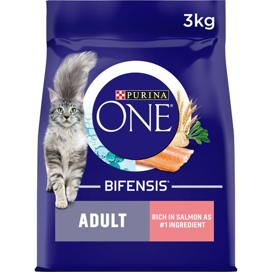 Purina ONE Adult Complete Dry Cat Food with Salmon, 200g