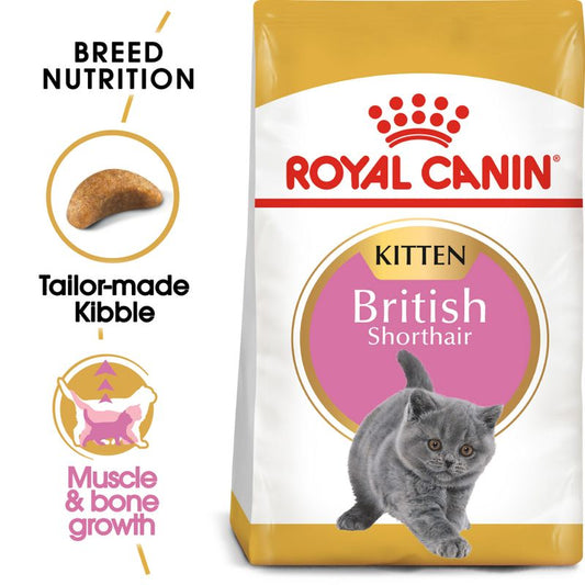 Royal Canin British Shorthair Kitten Dry Cat Food – 2kg