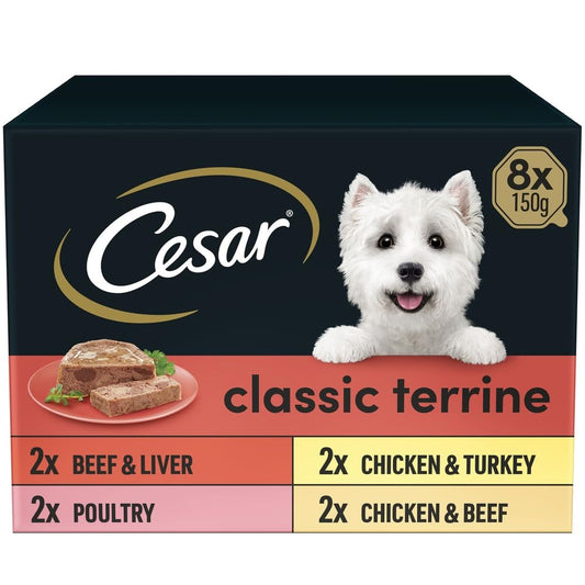 Cesar ClassicTerrine Dog Food Wet - Mixed Selection in Jelly, 8x150g (Pack of 3)