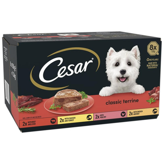 Cesar ClassicTerrine Dog Food Wet - Mixed Selection in Jelly, 8x150g (Pack of 3)