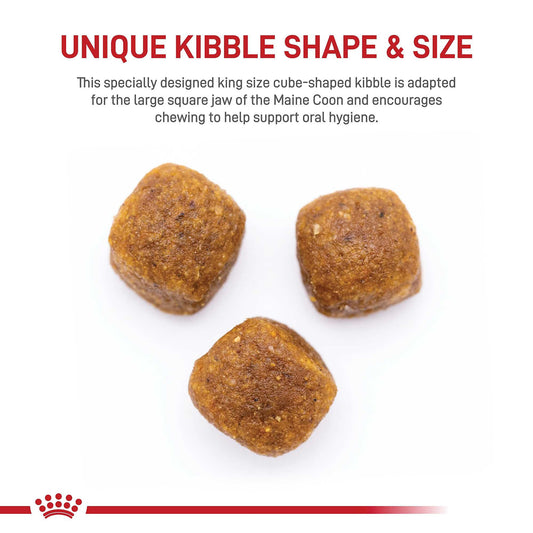 Royal Canin Maine Coon Dry Cat Food, 6- Pound Bag