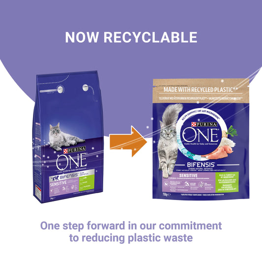 Purina One Dry Cat Food