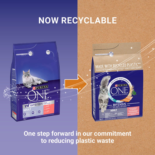 Purina ONE Adult Complete Dry Cat Food with Salmon, 200g