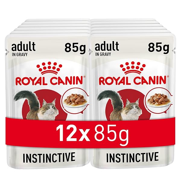 Royal Canin Instinctive Adult Cat Food Gravy Pouch 85g (Pack of 12)