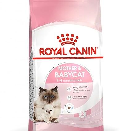 Royal Canin Cat Food -Mother and Babycat - Dry Kibble for Adult Cats - Specially for the Queen and her Kittens - Gestating and lactating queen - Tailored Nutrition - Science Diet - 2kg