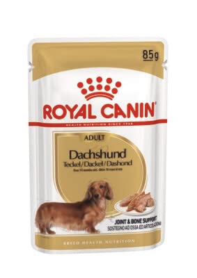 12 x 85g Pouch Royal Canin Wet Breed Dachshund