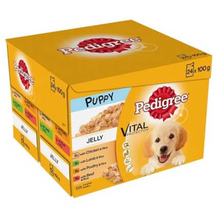 Pedigree Junior, Wet Food for Young Dogs and Puppies, Mixed in Jelly, 24 x 100 g