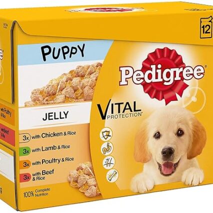 Pedigree Junior Wet Dog Food for Young Dogs and Puppies 2-12 Months Mixed Selection in Jelly, 12 x 100g