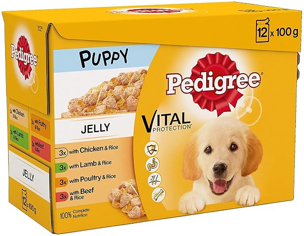 Pedigree Junior Wet Dog Food for Young Dogs and Puppies 2-12 Months Mixed Selection in Jelly, 12 x 100g