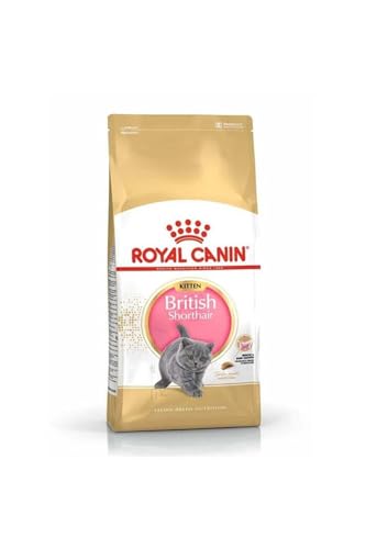 Royal Canin Kitten Food - British Shorthair Complete Food 2Kg