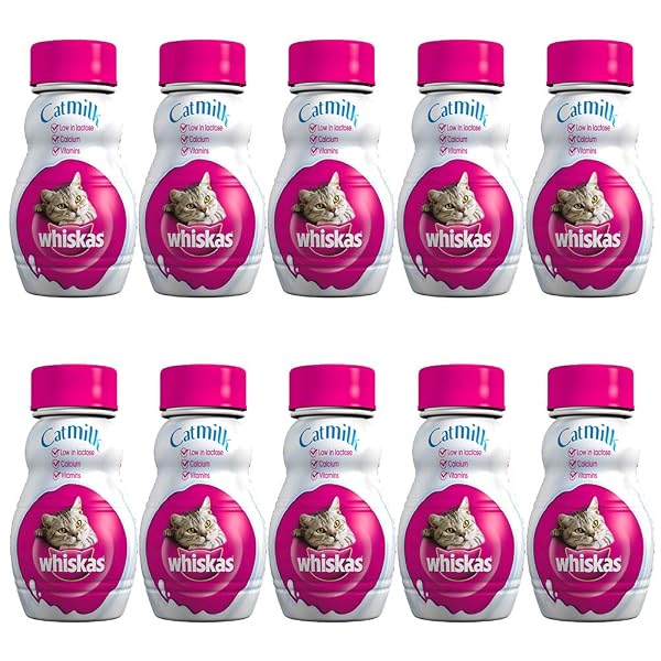 10 x 200ml Cat Milk Treat Healthy Alternative Quality Pet Food