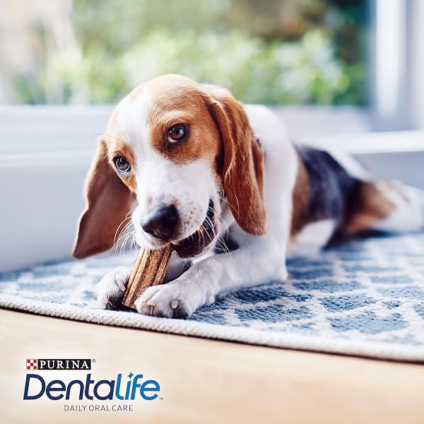 DENTALIFE Small Dental Chicken Dog Chews 21 Sticks (Pack of 3) - Image 5