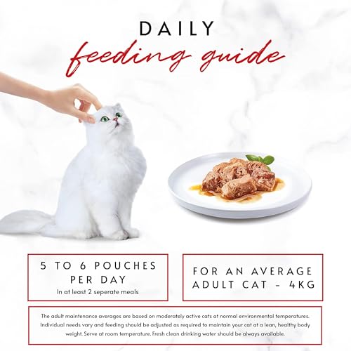 GOURMET Mon Petit Intense Meaty Variety Duck, Chicken, Turkey Wet Cat Food 6x50g (Pack of 8) - Image 7