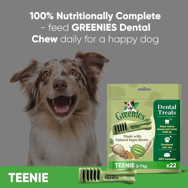 Greenies Original Adult Teenie Dog Treats 22 x Dental Chews 170g - Image 6