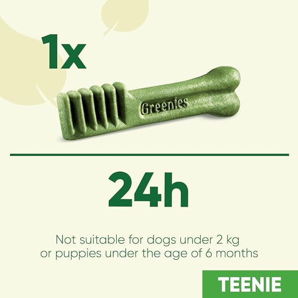 Greenies Original Adult Teenie Dog Treats 22 x Dental Chews 170g - Image 10