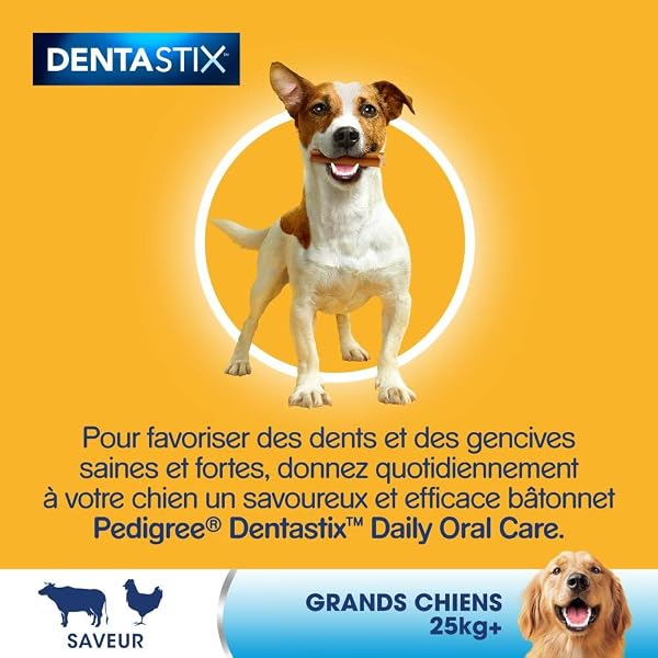 PEDIGREE DENTASTIX Dental Sticks for Large Dogs +25kg - 56 Chew Sticks (Set of 8 Bags of 7 Treats) - Oral Hygiene, Scientifically Proven, Daily Cleaning - Image 8