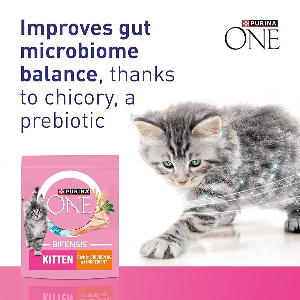PURINA ONE Kitten Chicken Dry Cat Food 750g (Pack of 4) - Image 3