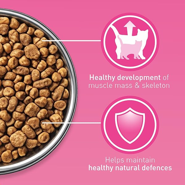 PURINA ONE Kitten Chicken Dry Cat Food 750g (Pack of 4) - Image 4