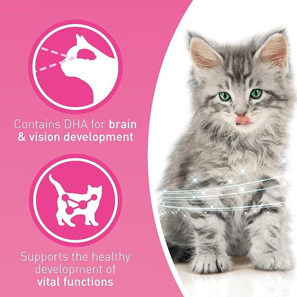 PURINA ONE Kitten Chicken Dry Cat Food 750g (Pack of 4) - Image 5