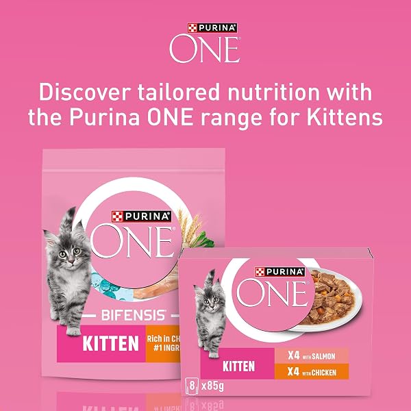 PURINA ONE Kitten Chicken Dry Cat Food 750g (Pack of 4) - Image 8