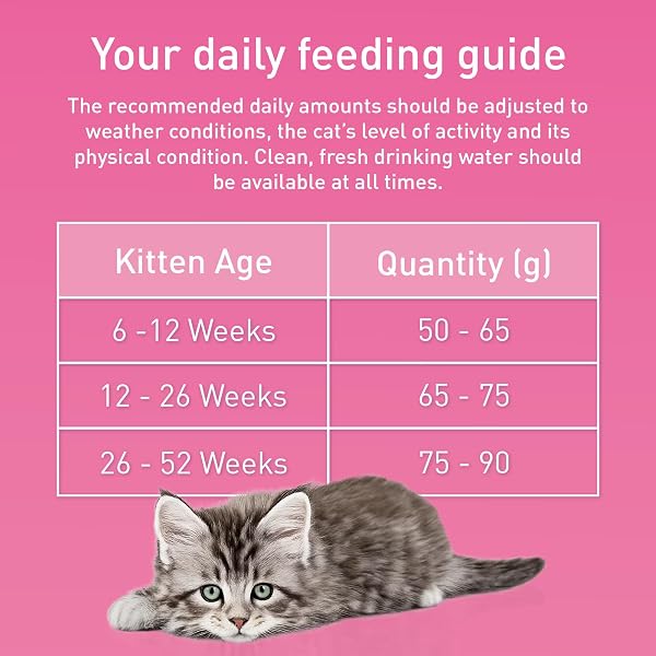 PURINA ONE Kitten Chicken Dry Cat Food 750g (Pack of 4) - Image 10