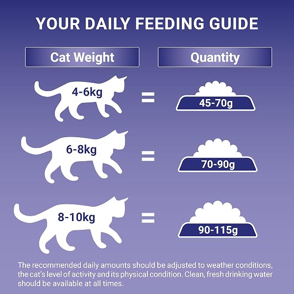 PURINA ONE Light Chicken Dry Cat Food 750g (Pack of 4) - Image 7
