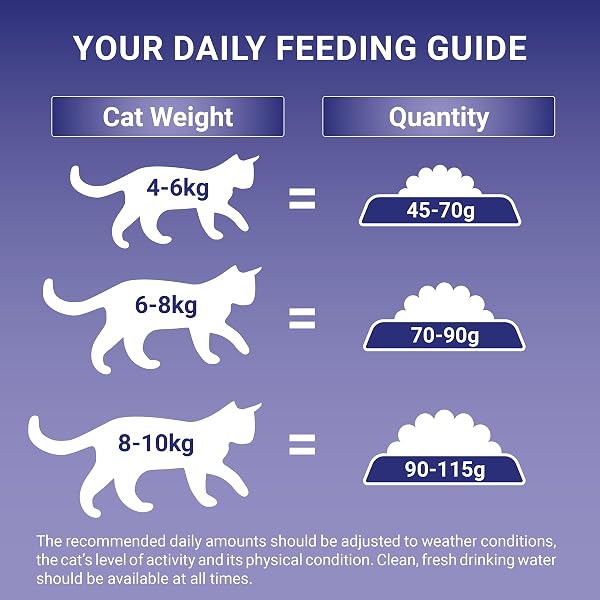 Purina One Light Adult Dry Cat Food Chicken and Wheat 2.8kg - Image 6