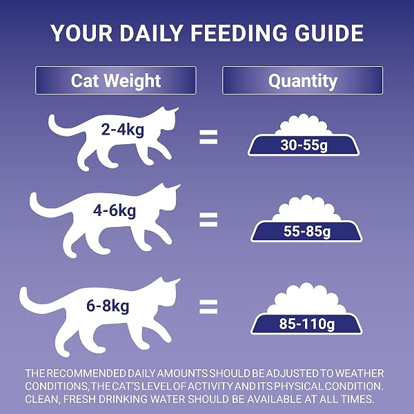 Purina One Sensitive Dry Cat Food with Turkey and Rice 2.8kg - Image 6