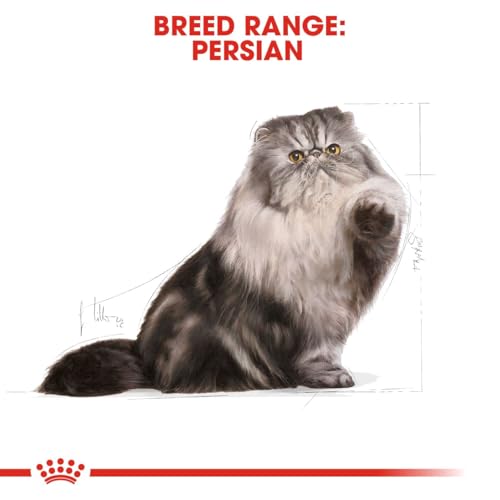 ROYAL CANIN Cat Food Persian 30 Dry Mix 4 kg - Image 7