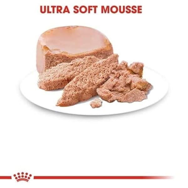 ROYAL CANIN First Age Mousse Mother & Baby Cat Wet Cat Food - 12 x 195g - Image 4