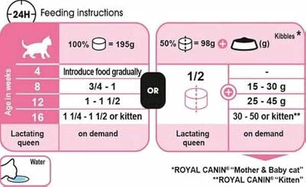 ROYAL CANIN First Age Mousse Mother & Baby Cat Wet Cat Food - 12 x 195g - Image 5