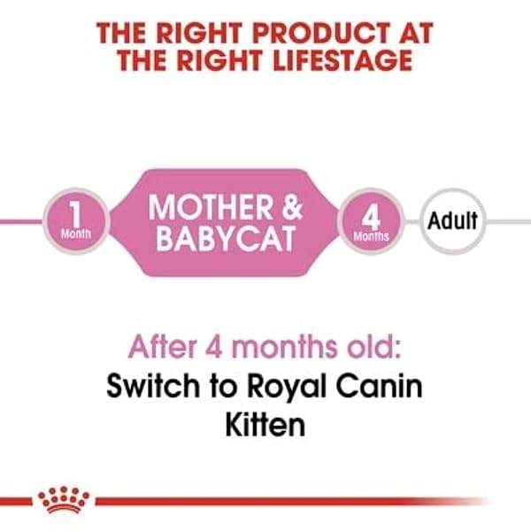ROYAL CANIN First Age Mousse Mother & Baby Cat Wet Cat Food - 12 x 195g - Image 7
