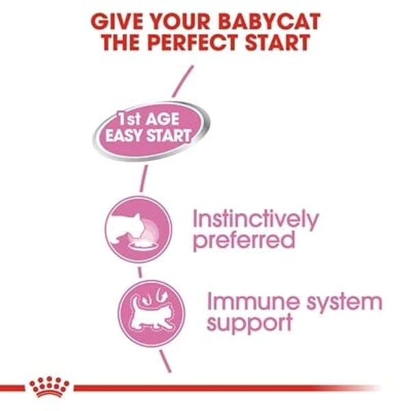 ROYAL CANIN First Age Mousse Mother & Baby Cat Wet Cat Food - 12 x 195g - Image 8