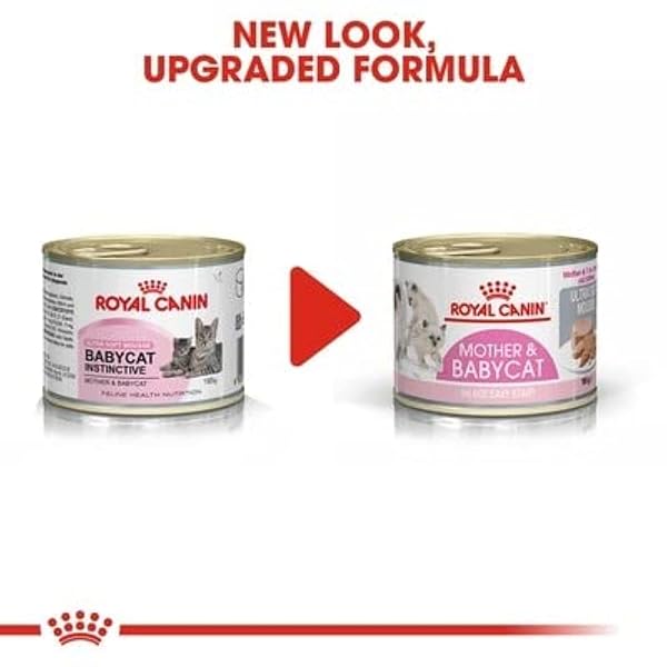ROYAL CANIN First Age Mousse Mother & Baby Cat Wet Cat Food - 12 x 195g - Image 9