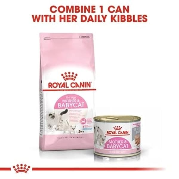 ROYAL CANIN First Age Mousse Mother & Baby Cat Wet Cat Food - 12 x 195g - Image 10