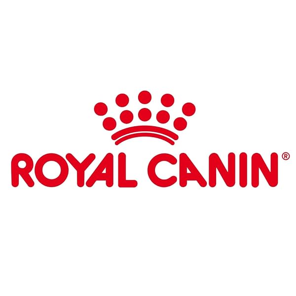 Royal Canin Appetite Control Care Adult Dry Cat Food 2kg - Image 3