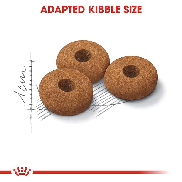 Royal Canin Appetite Control Care Adult Dry Cat Food 2kg - Image 4