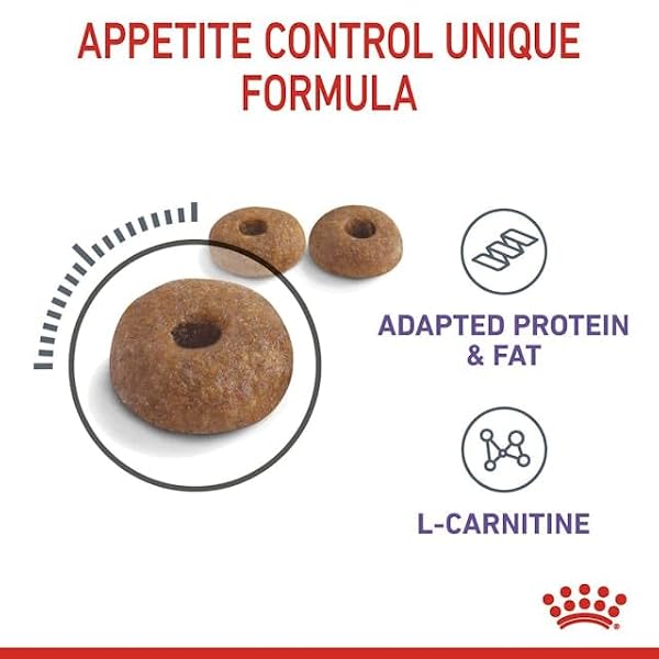 Royal Canin Appetite Control Care Adult Dry Cat Food 2kg - Image 6
