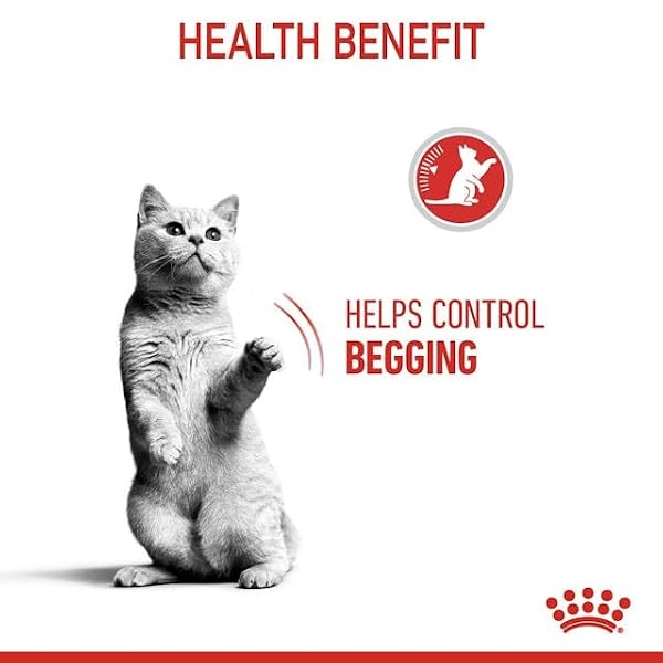 Royal Canin Appetite Control Care Adult Dry Cat Food 2kg - Image 8