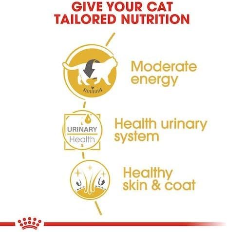 Royal Canin British Shorthair in GRAVY Wet Adult Cat Food (24 x 85g) - Image 9