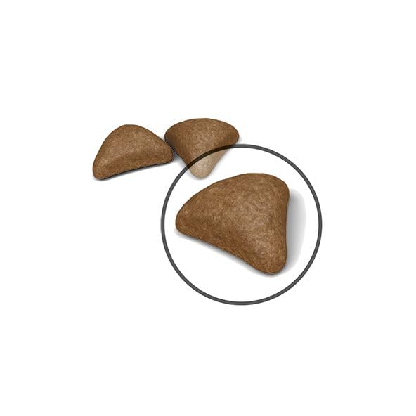 Royal Canin Cat Food Hairball Care 34 Dry Mix 2 kg - Image 3