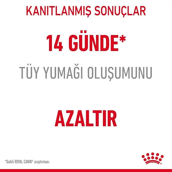 Royal Canin Cat Food Hairball Care 34 Dry Mix 2 kg - Image 5