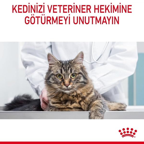 Royal Canin Cat Food Hairball Care 34 Dry Mix 2 kg - Image 7