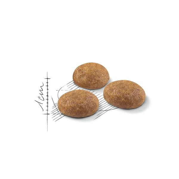 Royal Canin Cat Food Outdoor 30 Dry Mix 4 kg - Image 3