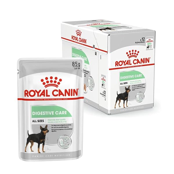 Royal Canin Digestive Care | Double Pack | 2 x 12 x 85 g | Wet food for adult dogs | From 10 months of age | Suitable for dogs with sensitive digestion - Image 3