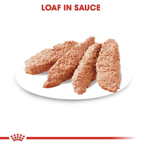 Royal Canin Digestive Care | Double Pack | 2 x 12 x 85 g | Wet food for adult dogs | From 10 months of age | Suitable for dogs with sensitive digestion - Image 6